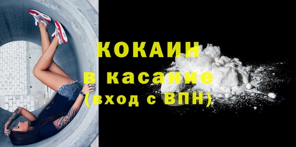 стаф Елизово