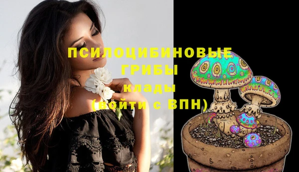 стаф Елизово