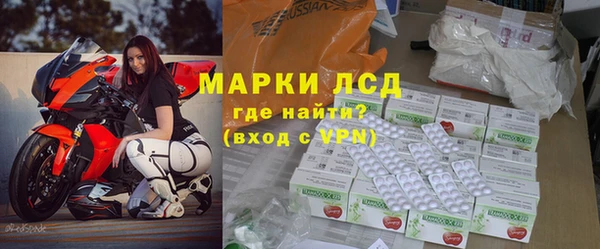 стаф Елизово